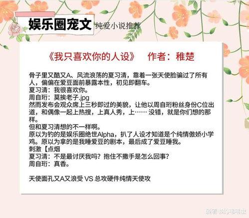 全娱乐最新爆料小说,小说背后的真实故事  第3张
