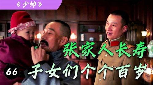 少帅11集在线观看  第1张